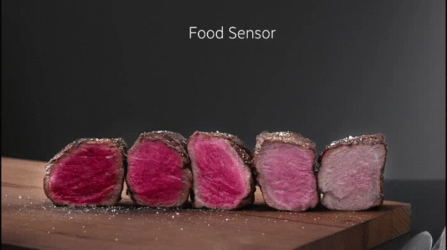Food Sensor