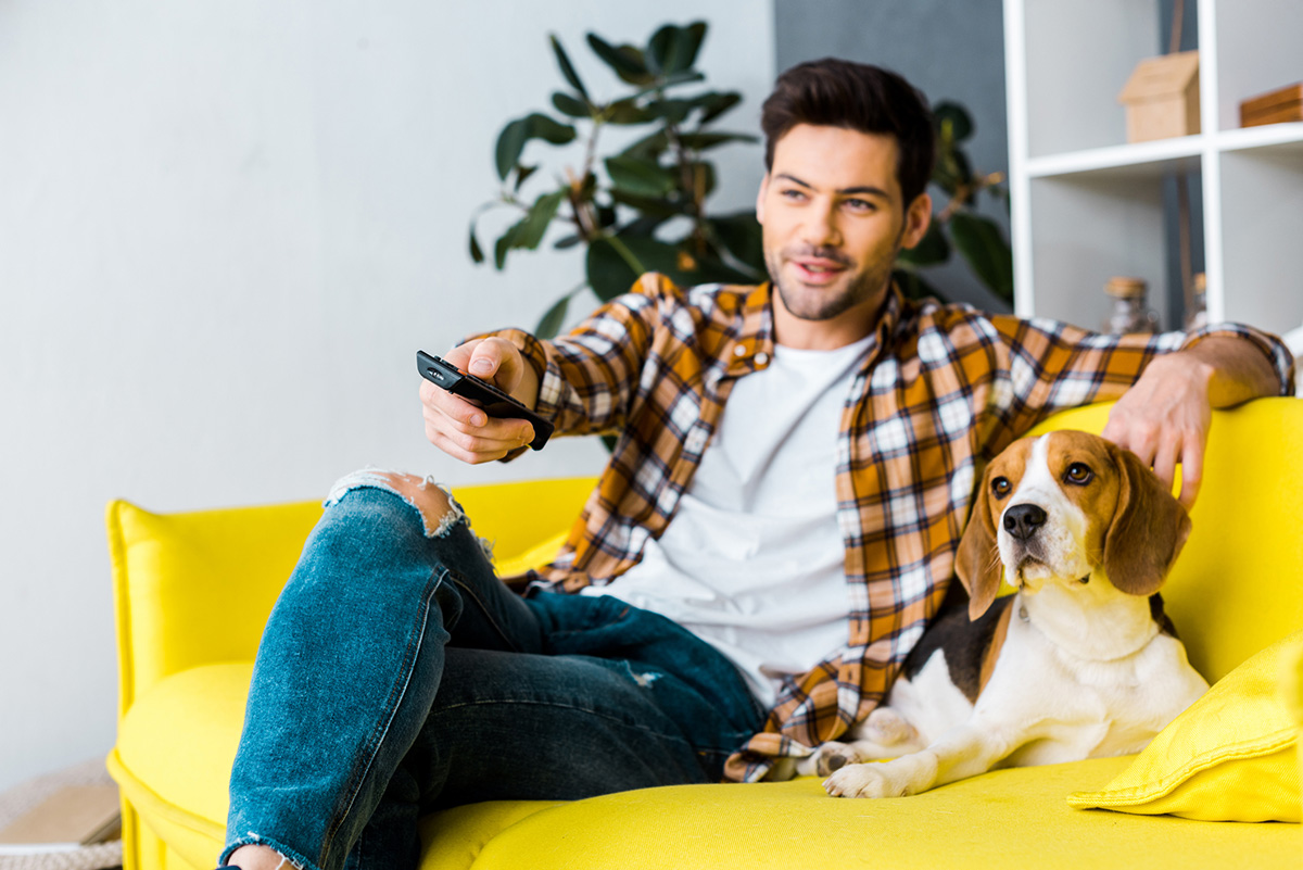 Truco de Lavandería para Quitar el Pelo de Mascota