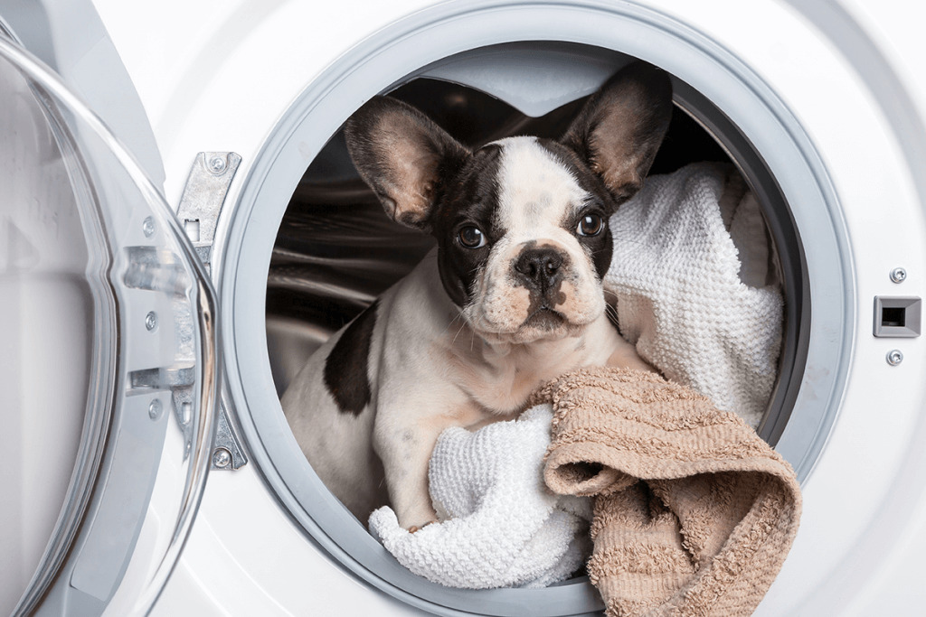 Cómo quitar el pelo de perros y gatos para que no estropee la lavadora