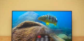 las mejores tv en Mi Electro