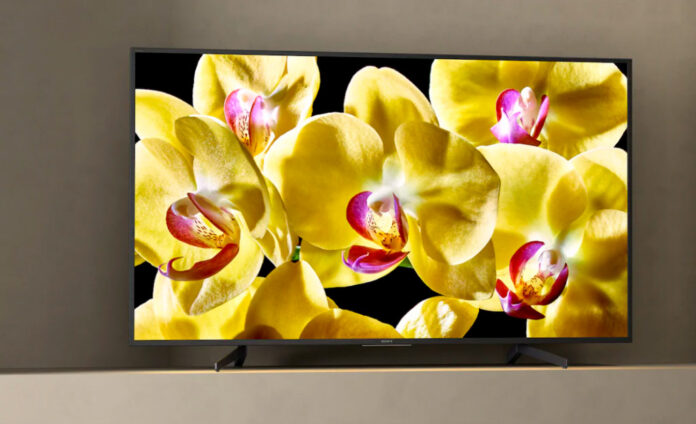 televisor Sony con pétalos de flor de fondo