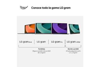 MONITOR LG 17%%%quot; PORTATIL GRAM  VIEW IPS WQXGA USB C