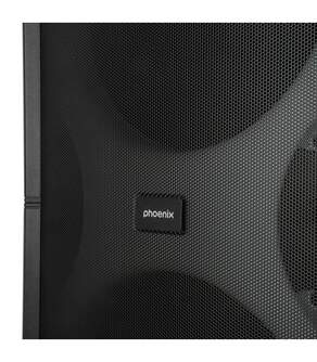 ALTAVOZ PHOENIX BIGBOSS XL 300W 2 MICROS 10%%%quot;