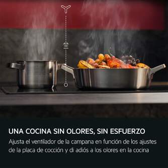 ENCIM. AEG TI63IF0BFB 3F IND POWERB.FLEX 949598393