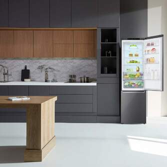 FRICOM. LG GBP62DSNGN 203x60 NF INOX DOORCOOLING