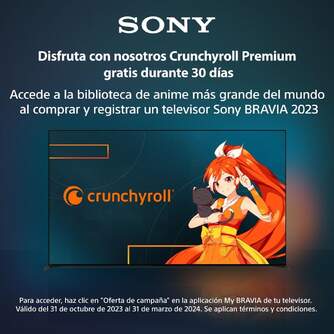 TV SONY 65%%%quot; XR65A95L UHD QD-OLED 100HZ GOOGLE TV