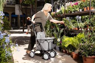 CARRO-COMPRA CARLETT COMFORT MOON GRIS