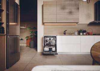 LVJ. HAIER XF5C4M1X 10P 15C INOX