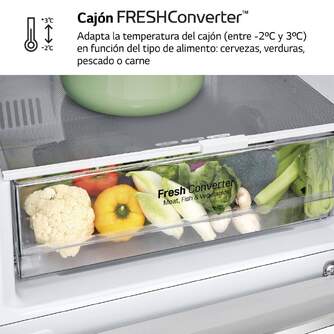 FRICOM. LG GBP62PZNBC 203x60 NF INOX 0%%%#186; DC