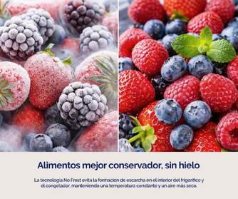 FRICOM. ARTICA COOLTECH200CB2 200X60 NF DSP BCO