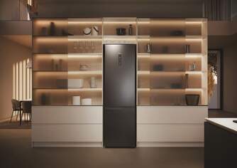 FRICOM. HAIER HDPW5620ANPD 205x60 NF INOX