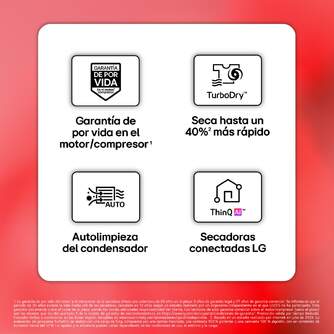 SECADORA LG RH10V9AV2WR 10K BC BCA DSP WIFI