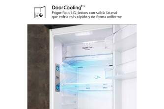 FRI. LG GTBV20SWZJD 168x55 2P NF BLANCO