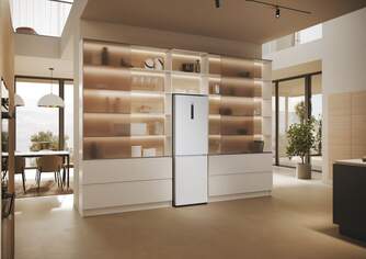 FRICOM. HAIER HDPW5618CNPW 185x60 NF BCO