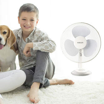 VENTILADOR SOBREMESA HAEGER FA016007A TABLE WIND