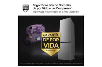 FRICOM. LG GBBSJ2CCPY 203x60 INOX