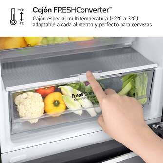 FRICOM. LG GBP62DSNGN 203x60 NF INOX DOORCOOLING