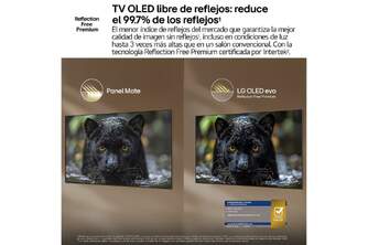 TV LG 65%%%quot; 65G64LW UHD OLED EVO A11 165HZ WEBOS26