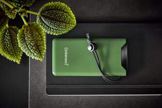 POWERBANK INTENSO F 10000mAh GREEN