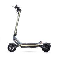 Patinete eléctrico SmartGyro Raptor Evo - 48 V, 16 Ah, 60 km aut., ruedas 10", 1000 W, gris/azul