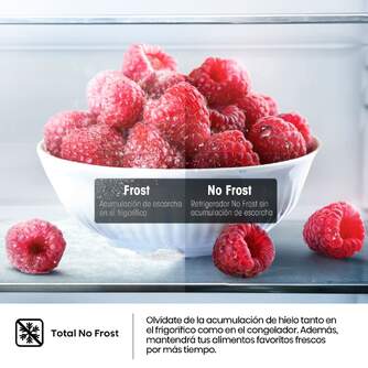 FRICOM. HISENSE RB440N4AWA 202x60 NF INOX