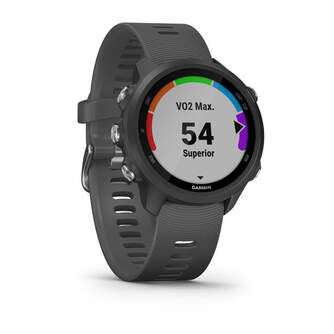 SMARTWATCH GARMIN FORERUNNER 245 010-02120-10 GRIS