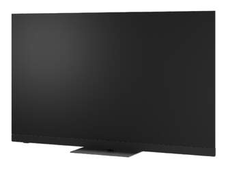 TV PANASONIC 48%%%quot; TV48Z90B UHD OLED PRO FIRETV 144H