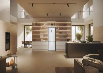 FRICOM. HAIER HDPW5620CNPW 205x60 NF BCO