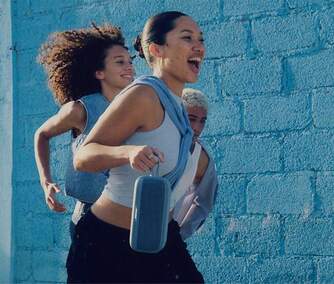 ALTAVOZ BOSE SOUND LINK PLUS AZUL 894040-0200