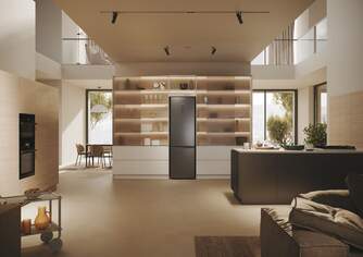 FRICOM. HAIER HDPW5620ANPD 205x60 NF INOX