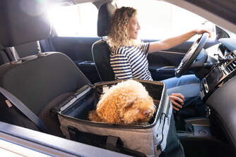 CARRO-COMPRA CARLETT CUBE P ICE MASCOTAS