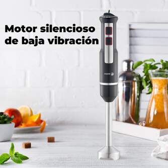 BATID. FAGOR  DIVAMIX INNOX 1000W C/A