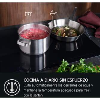 ENCIM. AEG TI63IQ30FZ 3F INDUCCION SAPHIRMATT