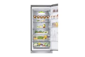 FRICOM. LG GBB72NSUCN 203x60 NF INOX DISPL METALFR