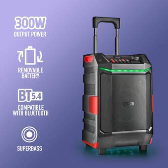 ALTAVOZ NGS WILDBASH 300W BT IPX6 NEGRA