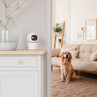 descarga - 2024-12-26T112218.824.jpg