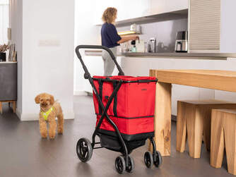 CARRO-COMPRA CARLETT CUBE S ICE  