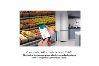 FRICOM. LG GBB72NSVBN 203x60 NF INOX 0%%%#186; DC METALFR