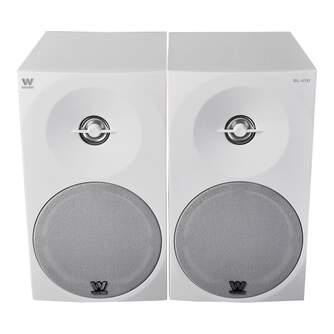 ALTAVOZ WOXTER DYNAMIC LINE  DL-410 WHITE