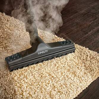 VAPORETA POLTI LECOASPIRA FAV30 PVEU0082 4BAR