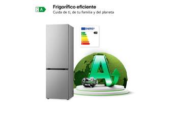 FRICOM. LG GBV3100APY 186x60 INOX