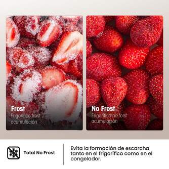 FRICOM. HISENSE RB390N4AWE 186x60 NF BLANCO