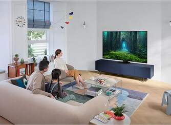 TV SAMSUNG 65%%%quot; TQ65QN85C NEOQLED UHD HDR1500 120HZ