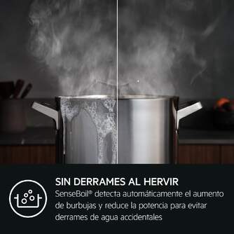 ENCIM. AEG TI63IQ10IZ 3F INDUCCION SAPHIRMATT