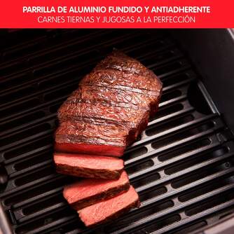 FREIDORA AIRE MOULINEX EZ505D 4,2L  REG.PICADORA