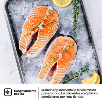 6921727038272 PT 9.jpg