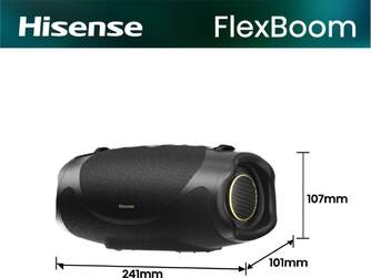 ALTAVOZ HISENSE FLEXBOOM 80W BT 20H IP67