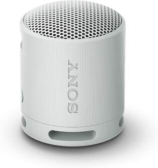 ALTAVOZ SONY SRSXB100H BLUETOOTH GRIS