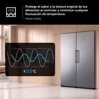 CONG.VER SAMSUNG RZ40H32PETEF 186x60 323L INOX