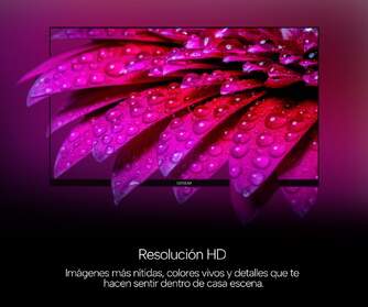 TV GENIUM 24%%%quot; GTV24HD HD WEBOS